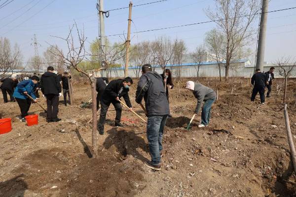 1744953851489441.jpg 13.jpg