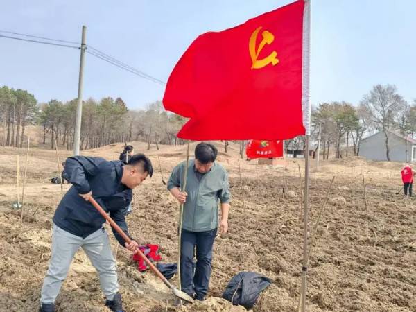 1744954009783083.jpg 15.jpg