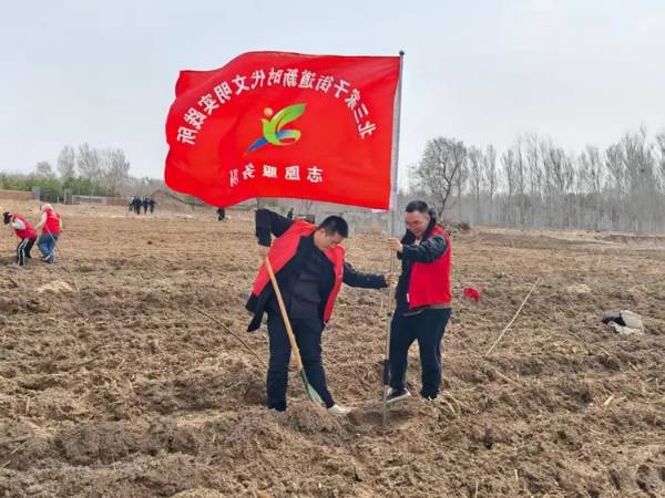 1744954020129502.jpg 16.jpg