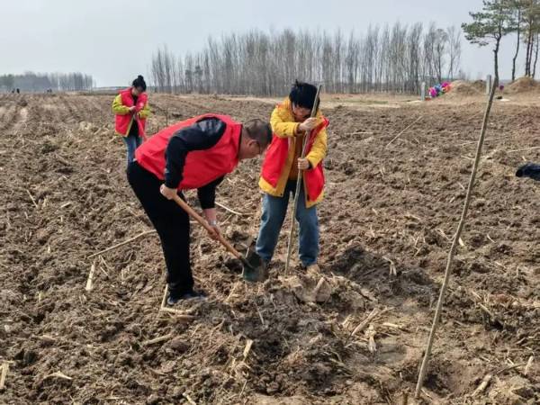 1744954035705492.jpg 17.jpg