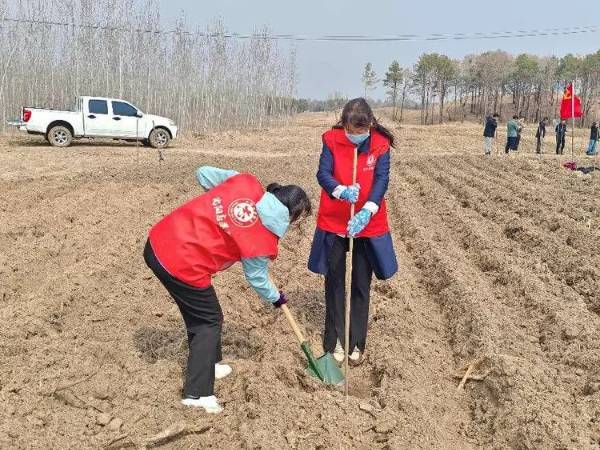 1744954039873006.jpg 18.jpg