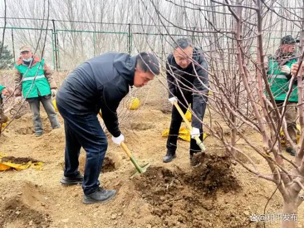 1744957252313834.jpg 1 (1).jpg