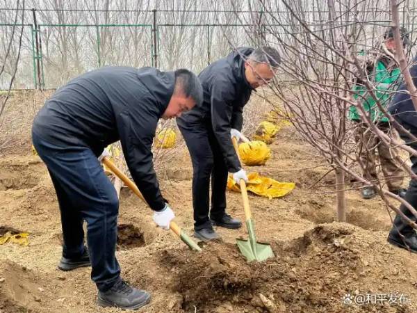 1744957259315672.jpg 2 (1).jpg