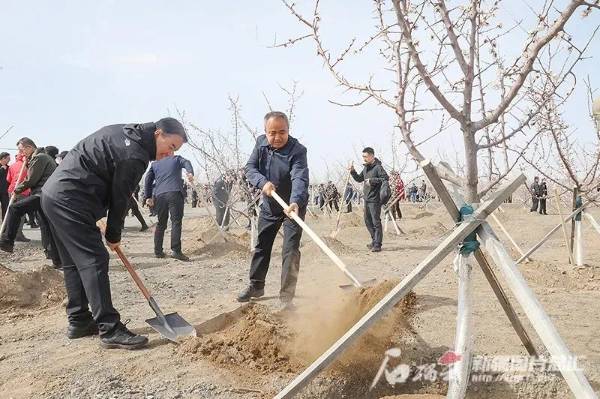 1745199862280786.jpg 2 (1).jpg