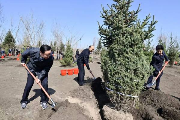 1745200437284304.jpg 3 (1).jpg