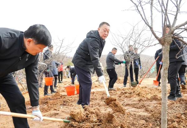 1745204274100239.jpg 1 (1).jpg