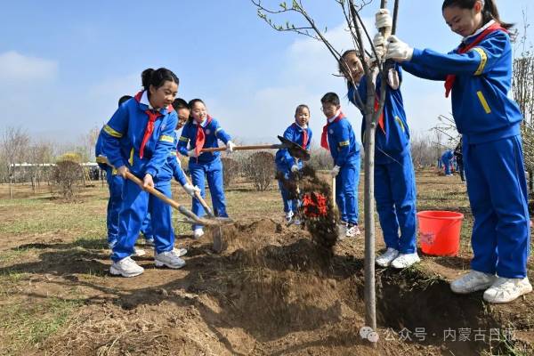 1745205516596437.jpg 4 (1).jpg