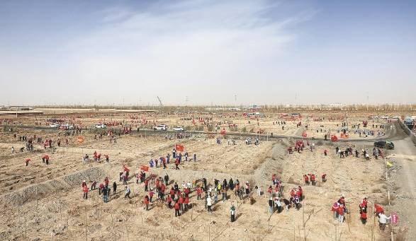 1745212224202318.jpg 7 (1).jpg