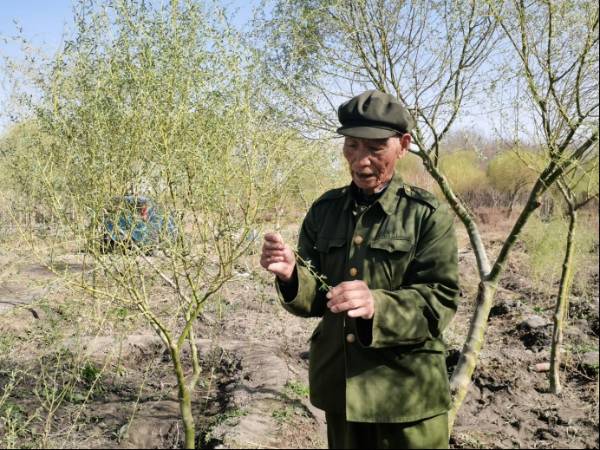 1745213417787615.jpg 1 (1).jpg