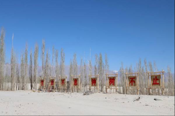 1745213423678030.jpg 2 (1).jpg