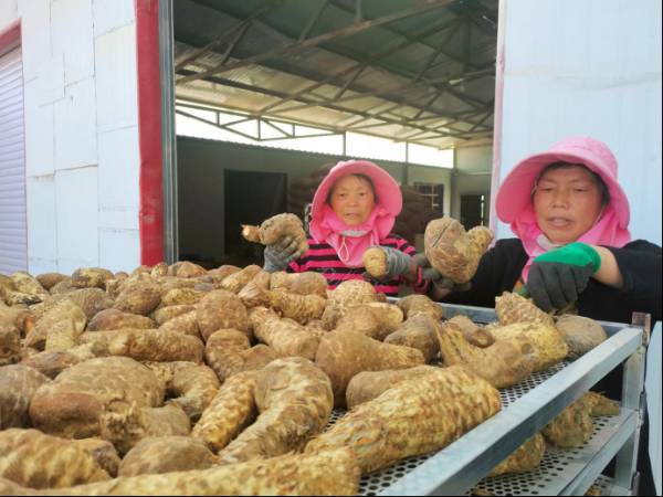 1745213430973843.jpg 3 (1).jpg