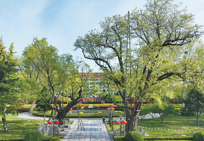 1745213508987897.jpg 4.jpg