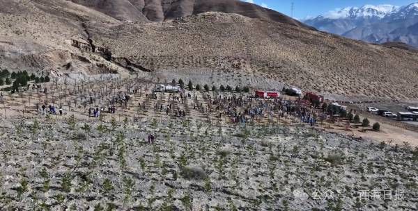 1745213698993264.png 3.png