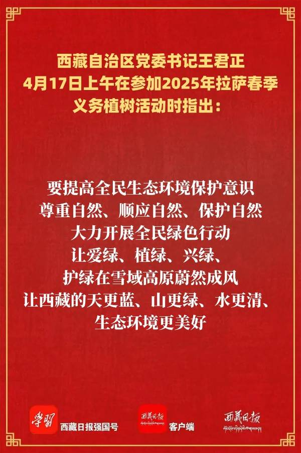 1745213711654044.jpg 6.jpg