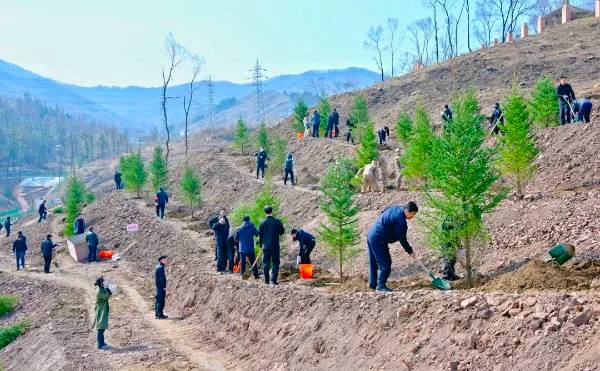 1745289116874242.jpg 1 (1).jpg