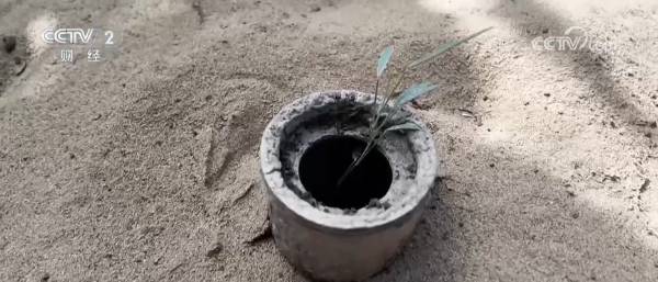 1745290227115224.png 6.png