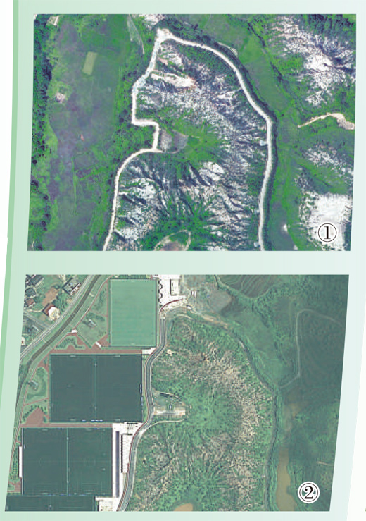 1745290540255333.jpg 2.jpg