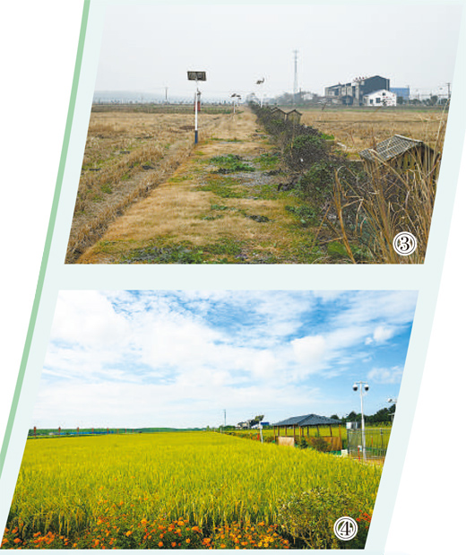 1745290565819637.jpg 3.jpg