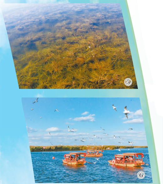 1745290576730970.jpg 4.jpg