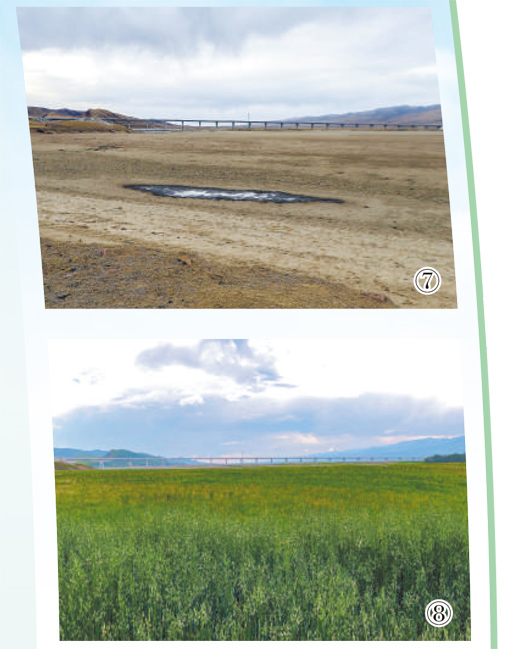 1745290584291400.jpg 5.jpg