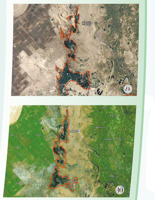 1745290592541578.jpg 6.jpg