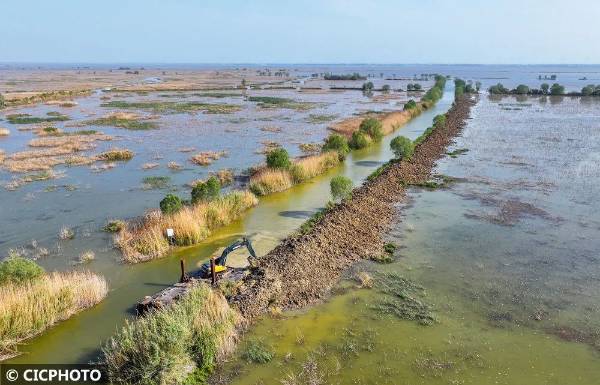 1745292334340517.jpg 1.jpg