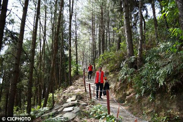 1745292340378247.jpg 2.jpg