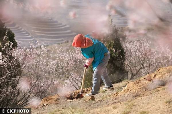 1745292346374531.jpg 3.jpg