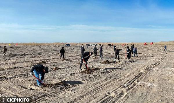 1745292358831108.jpg 5.jpg