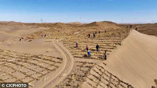 1745292370303690.jpg 7.jpg