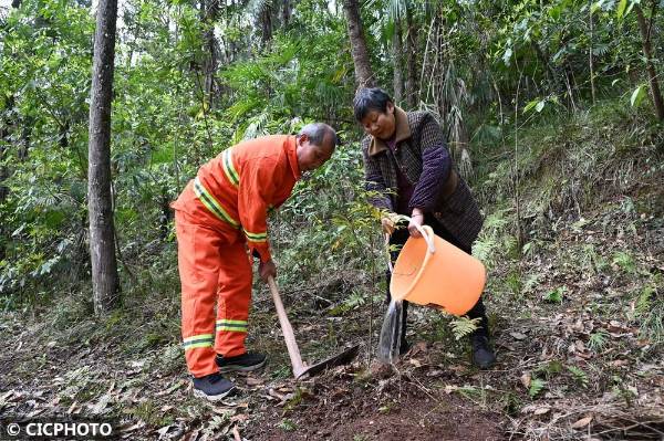 1745292383680106.jpg 9.jpg