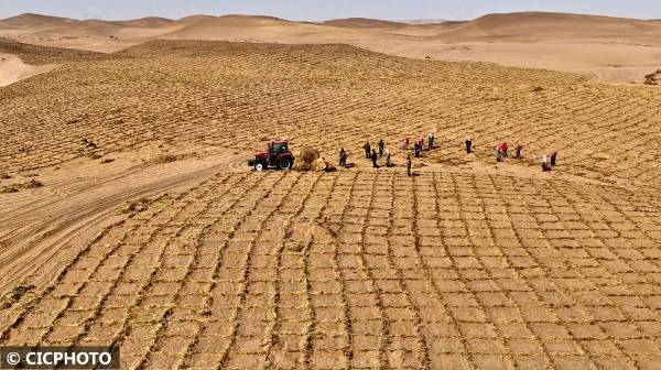 1745292390928749.jpg 10.jpg