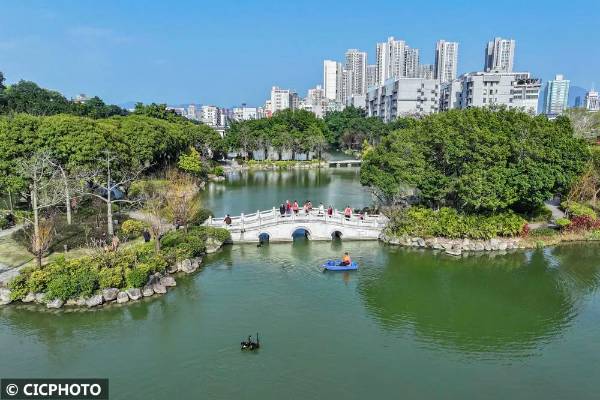 1745292395908020.jpg 11.jpg