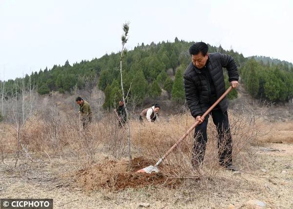 1745292402972170.jpg 12.jpg