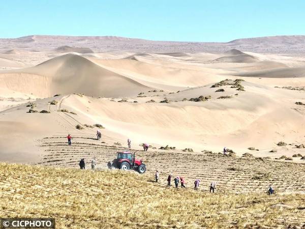 1745292408160854.jpg 13.jpg