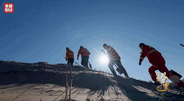 1745292656675665.jpg 2 (1).jpg