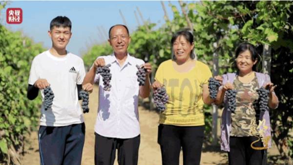 1745292662651324.jpg 3 (1).jpg