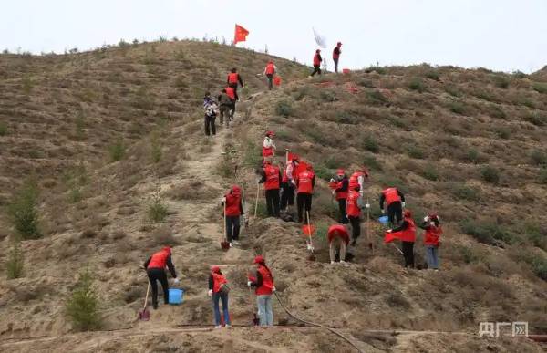 1745299494898728.jpg 1 (1).jpg