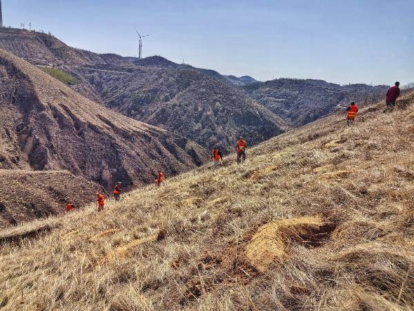 1745299862399704.jpg 1 (1).jpg