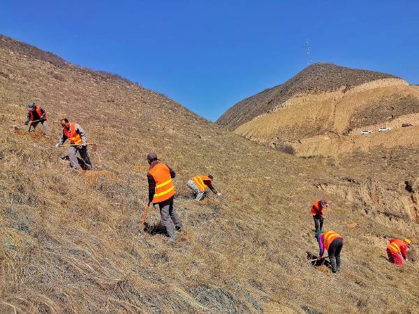 1745299868457133.jpg 2 (1).jpg