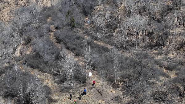 1745299875540938.jpg 3 (1).jpg