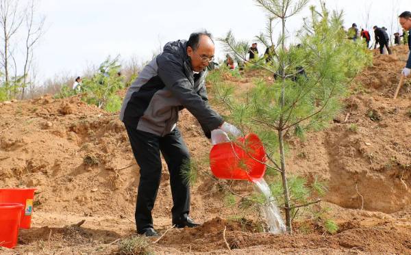 1745300209203774.jpg 1 (1).jpg