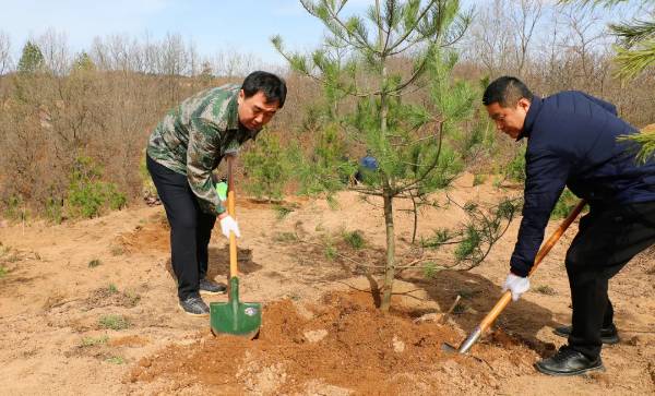 1745300215428580.jpg 3 (1).jpg