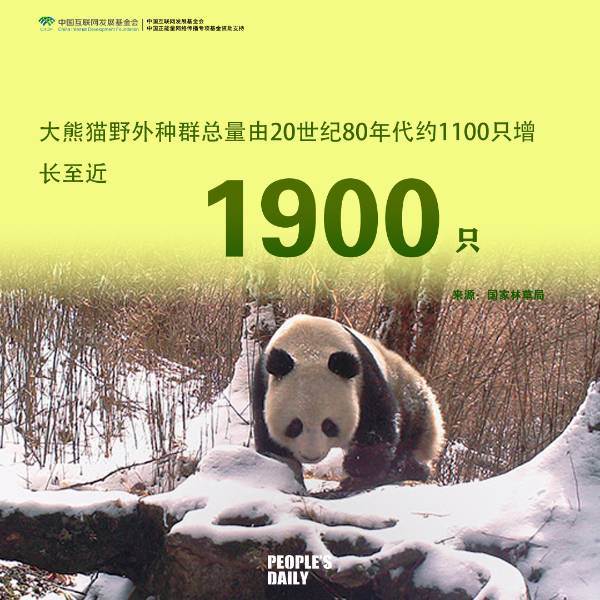 1745386143162788.png 6.png