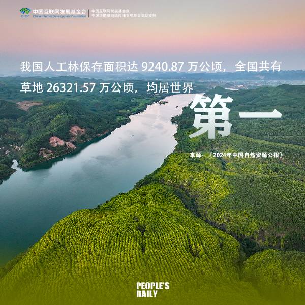 1745386147729706.png 7.png