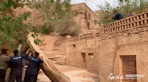 1745386681499038.jpg 12 (1).jpg