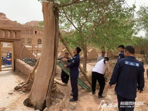 1745386689644551.jpg 13 (1).jpg