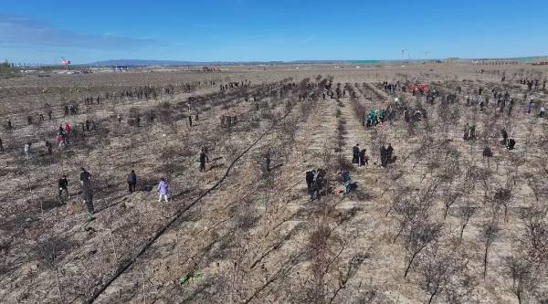 1745388192191500.jpg 1.jpg