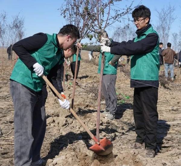 1745388198215300.jpg 2.jpg