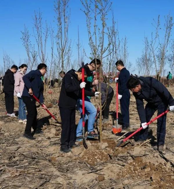 1745388207534906.jpg 3.jpg